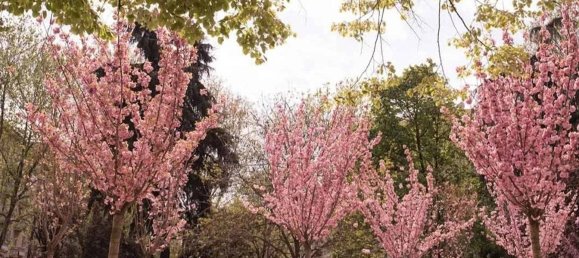 1 Schlafzimmer Wohnung in Milan, Italy, Nr. 282312 3