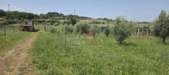 Grundstück in San Cesareo, Italy 2400m², Nr. 291070 21