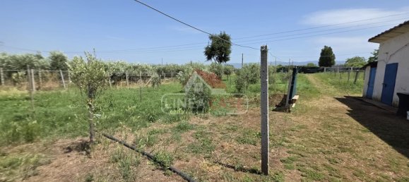 Grundstück in San Cesareo, Italy 2400m², Nr. 291070 15