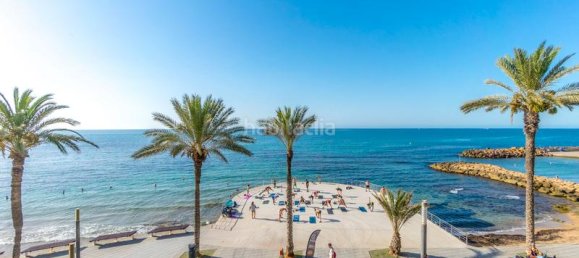 Apartamento de 4 dormitorios en Torrevieja, Spain No. 81984 20