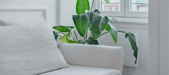 1 bedroom Apartment in Lisbon, Portugal No. 101129 9