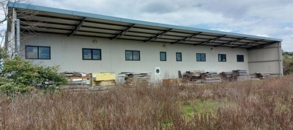 5 rooms Warehouse in Marsciano, Italy No. 51622 25