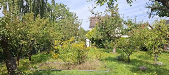 Terreno em Buch, Germany N.º 266210 8