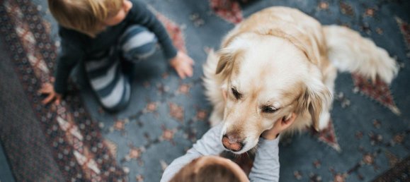 5 rooms Land in Barnim, Germany No. 295409 7