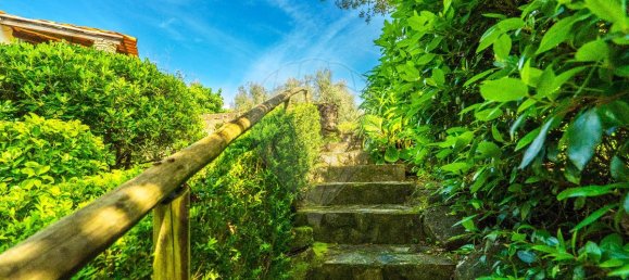 3 bedrooms House in Tomar, Portugal No. 29035 27