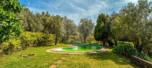 3 bedrooms House in Tomar, Portugal No. 29035 29