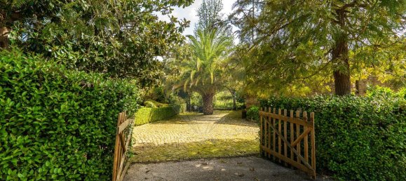 3 bedrooms House in Tomar, Portugal No. 29035 25