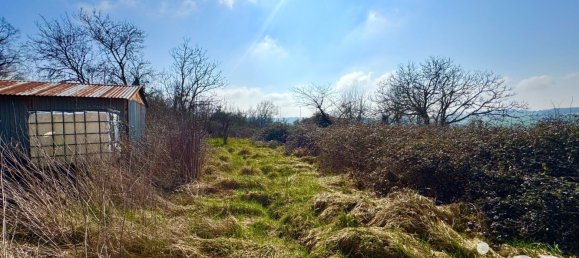 1 غرف نوم منزل في Dampierre-sous-Bouhy, France رقم 193624 27