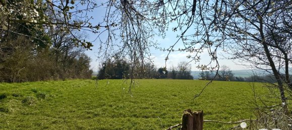 1 غرف نوم منزل في Dampierre-sous-Bouhy, France رقم 193624 40