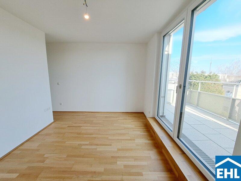 3 rooms Commercial property in Deutsch-Wagram, Austria No. 82280
