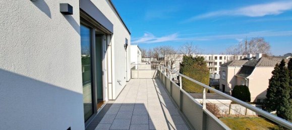 3 rooms Commercial property in Deutsch-Wagram, Austria No. 82280 7