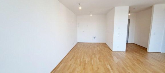 3 rooms Commercial property in Deutsch-Wagram, Austria No. 82280 10
