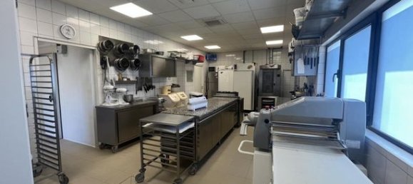  عقار تجاري في Doubs, France 280متر مربع رقم 354597 4