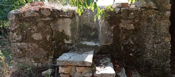 2 bedrooms House in Ansiao, Portugal No. 27638 7