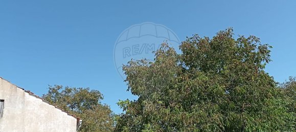 2 bedrooms House in Ansiao, Portugal No. 27638 14