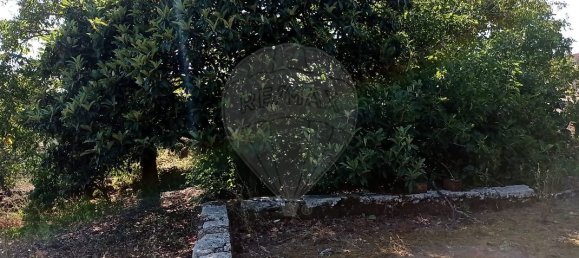 2 bedrooms House in Ansiao, Portugal No. 27638 8