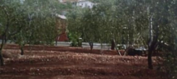 قطعة أرض في La Bisbal Del Penedes, Spain 548متر مربع رقم 165785 4