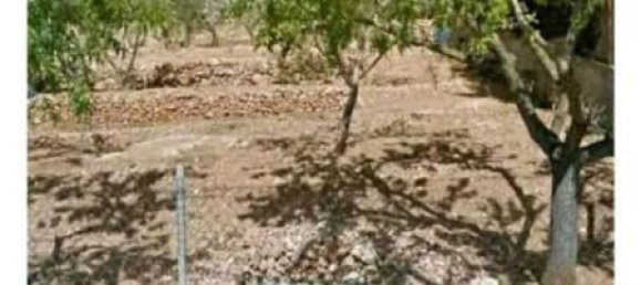 قطعة أرض في La Bisbal Del Penedes, Spain 548متر مربع رقم 165785 2