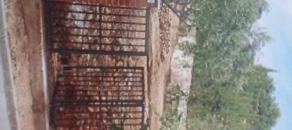 قطعة أرض في La Bisbal Del Penedes, Spain 548متر مربع رقم 165785 5