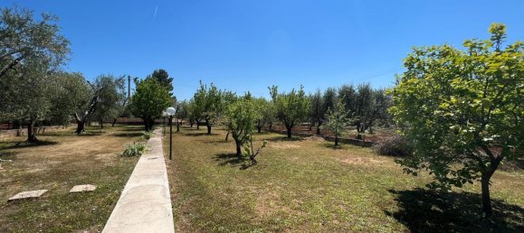 3 rooms Villa in Ostuni, Italy No. 22209 18