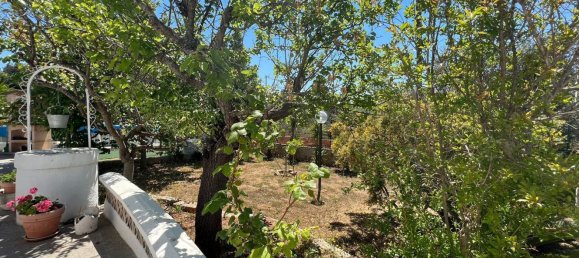 3 rooms Villa in Ostuni, Italy No. 22209 19