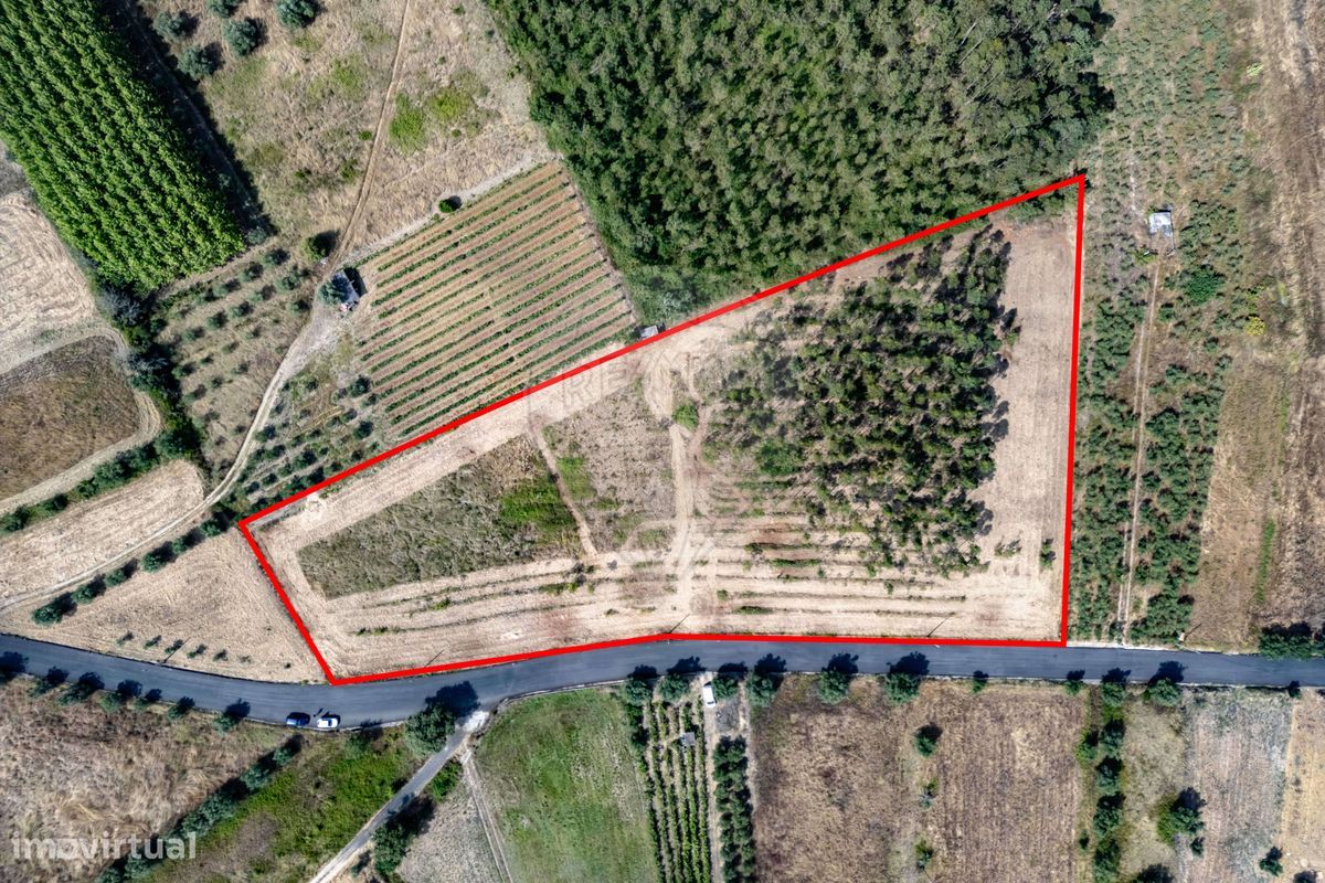 8760m² Land in Cadima, Portugal No. 269563