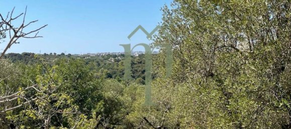 Вилла с 5 комнатами в Чистернино, Италия № 147539 17