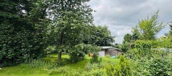 13 rooms Land in Altona, Germany No. 277307 3