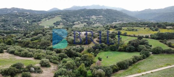 Terrain à Telti, Italy 201373m² No. 326973 4