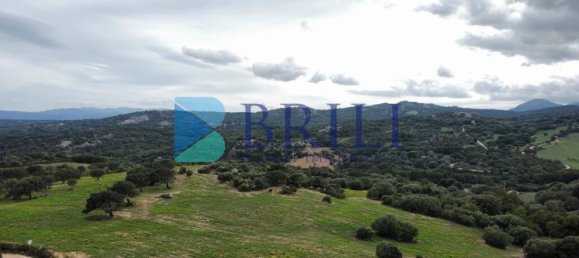 Terrain à Telti, Italy 201373m² No. 326973 9