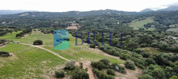 Terrain à Telti, Italy 201373m² No. 326973 6