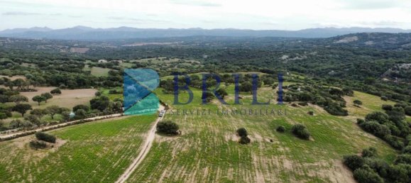 Terrain à Telti, Italy 201373m² No. 326973 12