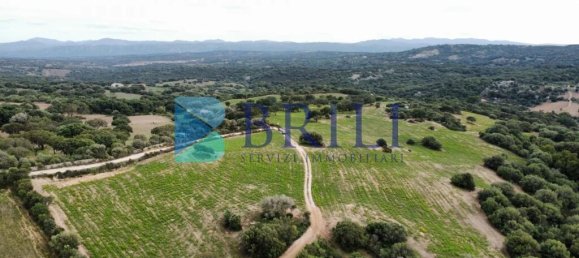 Terrain à Telti, Italy 201373m² No. 326973 10