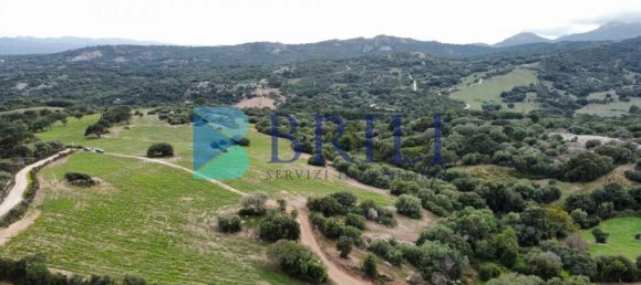 Terrain à Telti, Italy 201373m² No. 326973 11