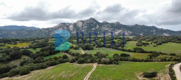 Terrain à Telti, Italy 201373m² No. 326973 8