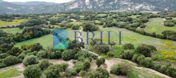 Terrain à Telti, Italy 201373m² No. 326973 2