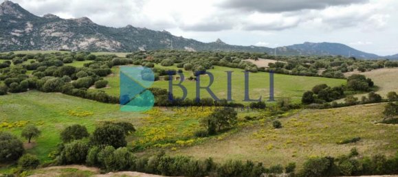 Terrain à Telti, Italy 201373m² No. 326973 3