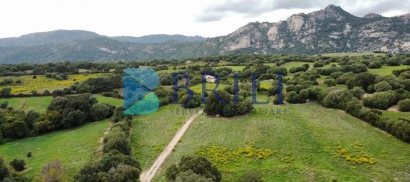 Terrain à Telti, Italy 201373m² No. 326973 5