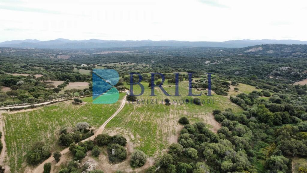 Terrain à Telti, Italy 201373m² No. 326973