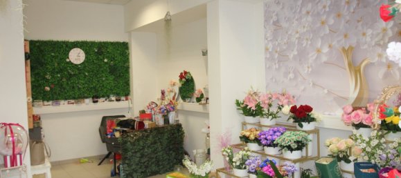 Gewerbliche Immobilie in Amstetten, Austria 27m², Nr. 197174 2