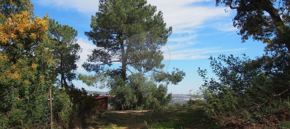 Casa de 3 dormitorios en Santa Margarida da Coutada, Portugal No. 25526 6