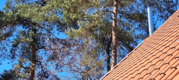 4 bedrooms House in Gifhorn, Germany No. 273489 8