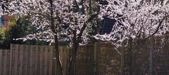 4 bedrooms House in Gifhorn, Germany No. 273489 7