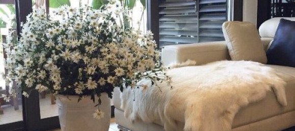 3 Schlafzimmer Wohnung in Cau Giay, Vietnam, Nr. 4004 10