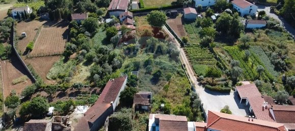 3 bedrooms House in Alvaiazere, Portugal No. 186596 6