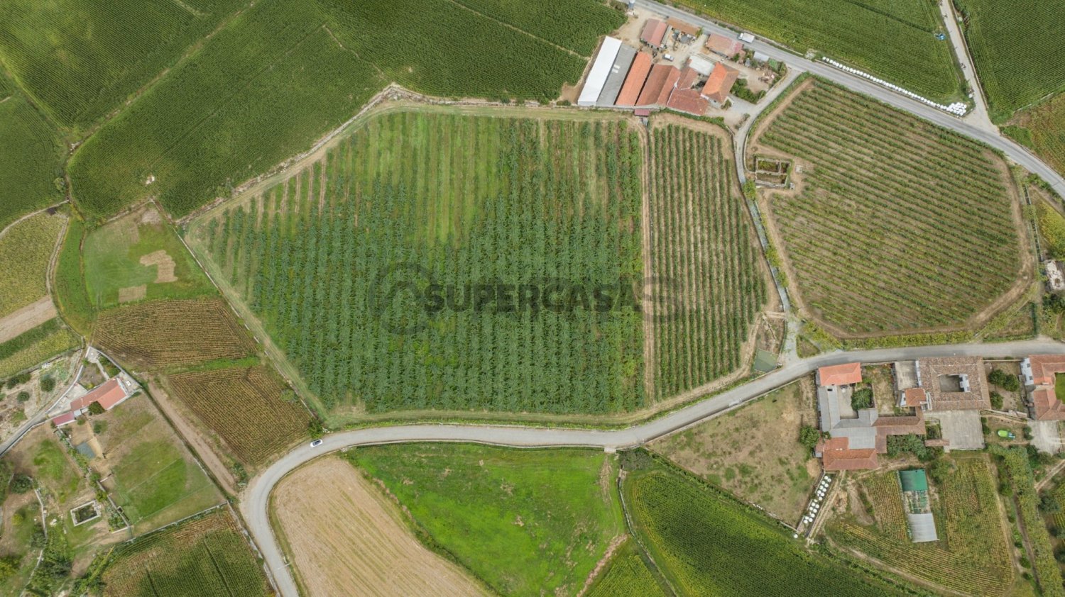 Terrain à Barcelos, Portugal No. 314802