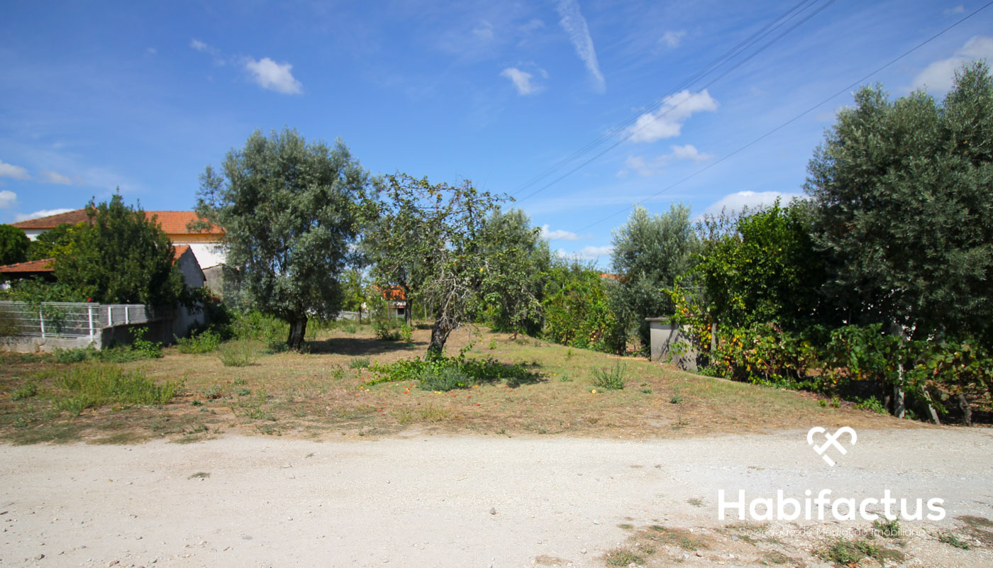  Land in Carregal do Sal, Portugal No. 69146