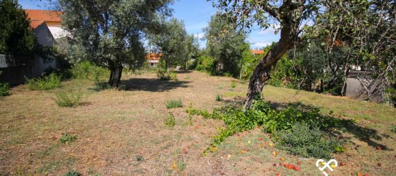  Land in Carregal do Sal, Portugal No. 69146 2