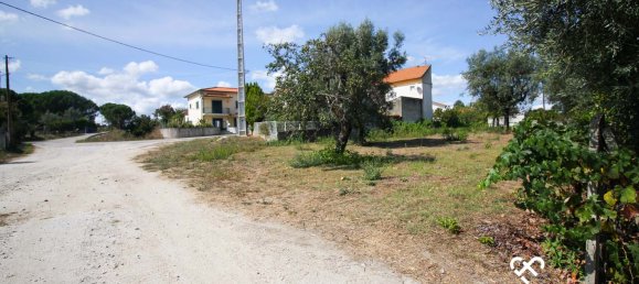  Land in Carregal do Sal, Portugal No. 69146 3
