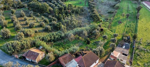 2 bedrooms House in Rio Maior, Portugal No. 30175 18